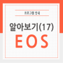 EOS 알아보기(17) – 오더발송