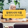 말레이시아 이름, 51개 중에서 골라보세요