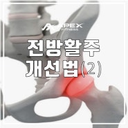 [구파발 피티] 전방활주 개선법(2)