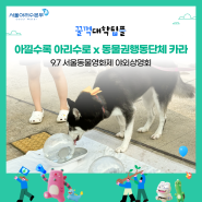 [꿀꺽대학팀플] 동물권행동 카라와 아리수가 만났다🐕