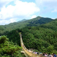 수승대 무병장수길 (24.9.07., 경남 거창)