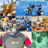 세부 교육 다이빙 PADI 체험 자격증 퍼플오션다이브