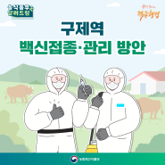 구제역 백신접종관리 방안