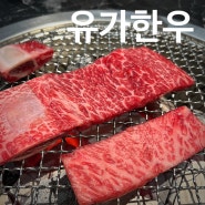 청주 율량동 소고기맛집 유가한우 가족외식 (룸)