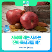 어부바가 알려드림! 저녁에 먹는 사과는 진짜 독사과일까?