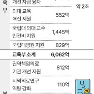 교수 1000명 뽑고 임상센터 짓고… ‘증원 안갯속’ 의대에 5조 원 투자(한국일보)