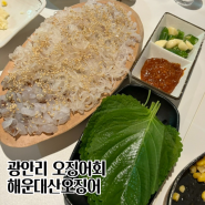 광안리 수영 오징어회 맛집 해운대산오징어