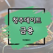 청주데이트 돌짜장맛집 후회 없는 선택이쥬~