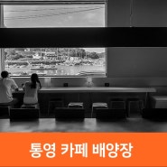 통영 카페 배양장, 문화공간으로 만든 통영 드라이브 통영 명소