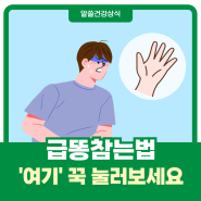 급똥참는법 배아플때 대처법 혈자리 알려드릴께요