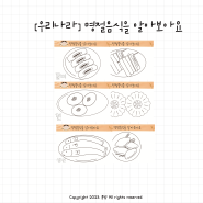 [우리나라] 명절음식을 알아보아요