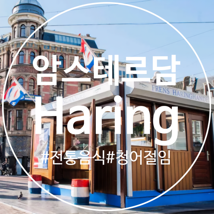 네덜란드 암스테르담 음식 Frens Haringhandel 하링 유명한 청어 절임 후....