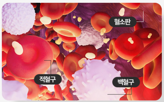 혈소판 풍부 혈장(platelet rich plasma, PRP) : 네이버 블로그