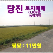 [당진 토지매매] 당진시 신평면 신당리 / 1,839평, 농림지역, 당진 가 볼만한 곳 ~ 삽교호 관광지...(바다공원, 함상공원, 놀이동산 등)