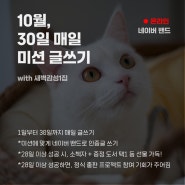 글 쓰는 습관 들이기 위한 추천 : 새벽감성1집 30일 온라인 글쓰기