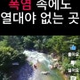 폭염속에서도 열대야가 없는곳