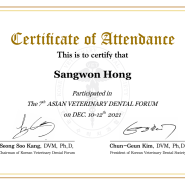 아시아 수의치과포럼 Asian Veterinary Dental Forum 10th AVDF 2024