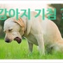 감기 ? 기침 ?