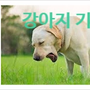 감기 ? 기침 ?