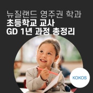 [뉴질랜드 영주권 학과] 초등학교 교사 GD 1년 과정 총정리