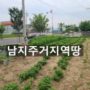 남지읍부동산 주거지역땅 남지상업지땅 매매