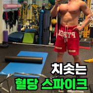 혈당 스파이크 대체 어떻게 관리해야할까요?