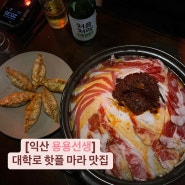 익산 신동 ‘용용선생’ : 마라전골 핫플, 대학로 술집 추천