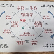 일산 웨스턴돔 사주 심리상담 / 은광쌤 사주심리상담