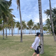 필리핀 보홀 (Bohol, September 2024) 🌴🐢 - 항공권/ 공항도착 툭툭이/ BBC/ 발리카삭 투어