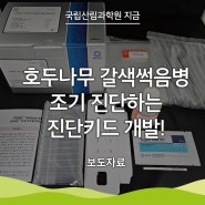 [국립산림과학원 지금] 호두나무 갈색썩음병 조기 진단하는 진단키트 개발!