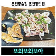 온천장술집 온천장안주맛집 '또와또와또아'