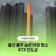 울산 울주 언양 숨은 야경명소 서울주문화센터 KTX인도교