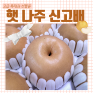 [0911추석맞이 제수용 선물세트]햇 신고배_빅사이즈 7.5kg