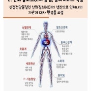 경동맥 질환, 침묵의 살인자 -안전한 혈관청소가 답입니다..