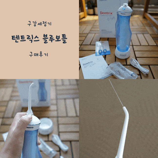 덴트릭스 구강세정기 블루보틀 - 내돈내산 구매후기 : 네이버 블로그
