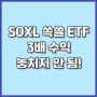 SOXL ETF 급등시 투자방법 및 하락시 대처방법