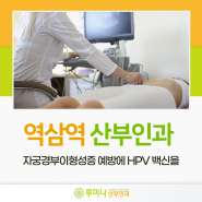 역삼역 산부인과 자궁경부이형성증 예방에 HPV 백신을