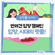 반려견 입양 캠페인🐶 입양, 시대의 펫룰!