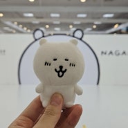 소문난 농담곰 잔치에 먹을 것 없다 [나가노마켓 팝업스토어 용산]