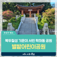 대전 유성구 아이와 가볼만한 곳, 북두칠성 기운이 서린 학하동 도시근린공원 '별밭어린이공원'