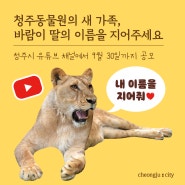 청주동물원의 새 가족, 바람이 딸의 이름을 지어주세요!