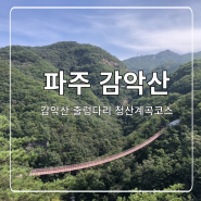 파주 감악산 등산코스 : 감악산 출렁다리 청산계곡길 코스