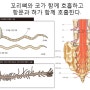 뇌척수막,뇌척수액/폐뇌척수액이 치매의 원인/ 물침요법 워터테라피