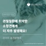 [24시 동물병원] 강아지 슬개골탈구, 관절질환에 취약한 소형견에게 더 자주 발생해요!