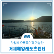 지세포 거제 해양 레포츠 센터에서 갓성비 요트투어를!