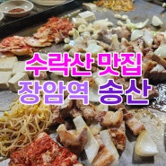 수락산 장암역코스 뒤풀이 장소 맛집 송산