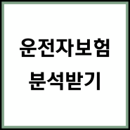 운전자보험비교사이트 접속해서 특약 꼼꼼히 알아보고 현명하게 가입하세요