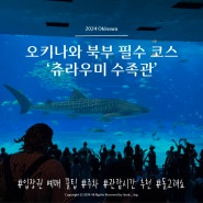 [오키나와 3박 4일] 북부 필수 코스 | 츄라우미 수족관 | 돌고래 쇼, 입장권 할인 꿀팁, 주차