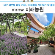 대구 맥문동 대형 카페 mrnw 미래농원 야외정원 사진찍기 좋아 주차장 있음