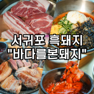 제주 서귀포 흑돼지 맛집 또간집 서귀포 흑돼지BBQ